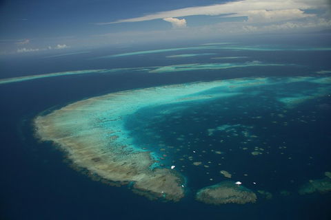 Great Barrier Reef Day Cruise From Cairns Including Snorkeling And Marine Biologist Presentation - Accommodation Port Hedland 1