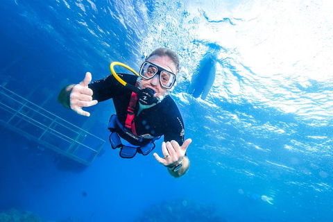 Great Barrier Reef Day Cruise From Cairns Including Snorkeling And Marine Biologist Presentation - Accommodation Port Hedland 3
