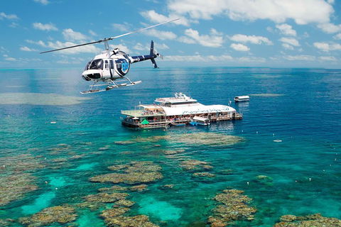 Great Barrier Reef Day Cruise From Cairns Including Snorkeling And Marine Biologist Presentation - Accommodation Port Hedland 5