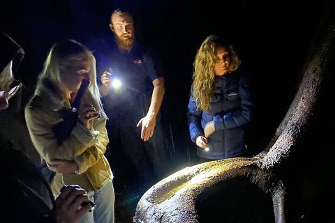 Evening Rainforest & Glow Worm Experience - Accommodation Port Hedland 2