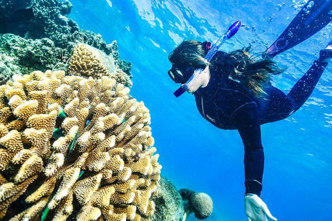 Green Island Day Trip From Cairns - Accommodation Port Hedland 1