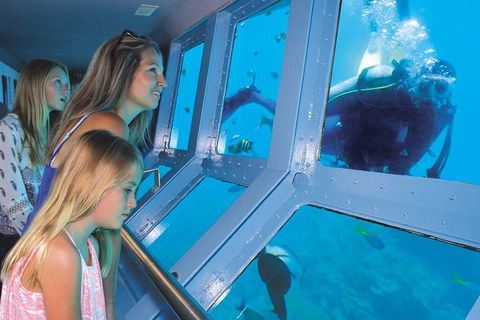 Quicksilver Outer Great Barrier Reef Snorkel Cruise From Palm Cove - Accommodation Port Hedland 0