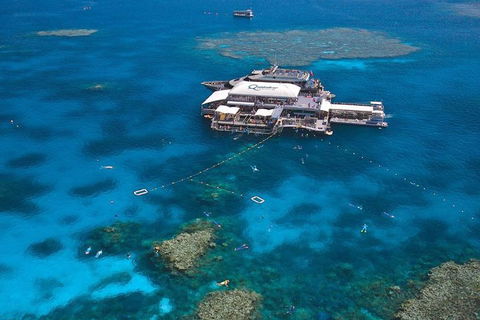 Quicksilver Outer Great Barrier Reef Snorkel Cruise From Palm Cove - Accommodation Port Hedland 1