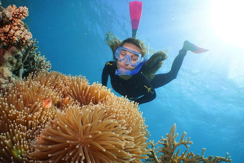 Quicksilver Outer Great Barrier Reef Snorkel Cruise From Palm Cove - Accommodation Port Hedland 2