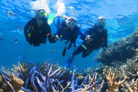 Quicksilver Outer Great Barrier Reef Snorkel Cruise From Palm Cove - Accommodation Port Hedland 3