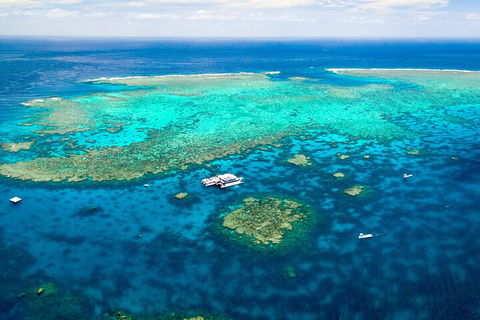 Quicksilver Outer Great Barrier Reef Snorkel Cruise From Palm Cove - Accommodation Port Hedland 4