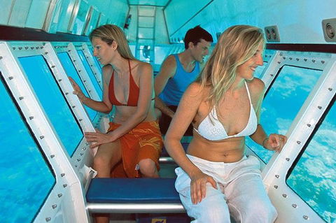 Quicksilver Outer Great Barrier Reef Snorkel Cruise From Palm Cove - Accommodation Port Hedland 5