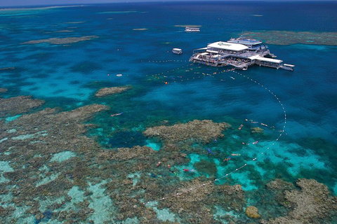 Quicksilver Outer Great Barrier Reef Snorkel Cruise From Port Douglas - Accommodation Port Hedland 3