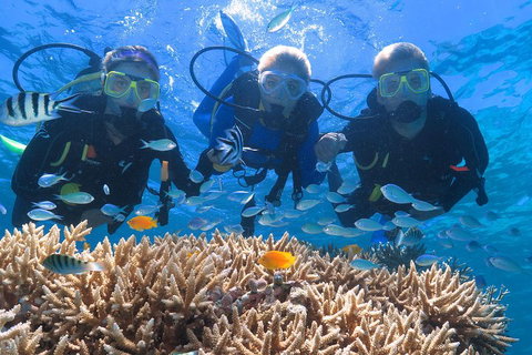 Quicksilver Outer Great Barrier Reef Snorkel Cruise From Port Douglas - Accommodation Port Hedland 4