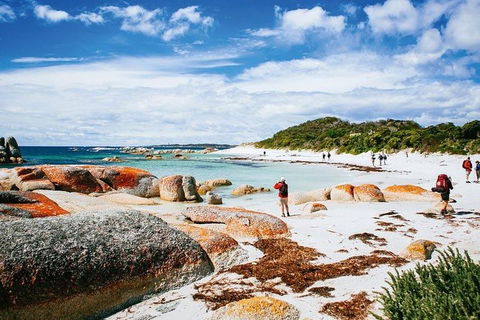 Wineglass Bay Private Charter Service - Accommodation Port Hedland 3