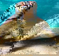 Sail Snorkel SUP  Kayak Charter Whitsundays - Accommodation Port Hedland