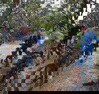 Fully guided E-Mountain Bike Tour on the beautiful Mornington Peninsula. - Accommodation Port Hedland