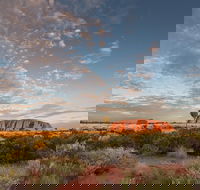 Uluru Kata Tjuta and Kings Canyon Camping Safari from Alice Springs - Accommodation Port Hedland