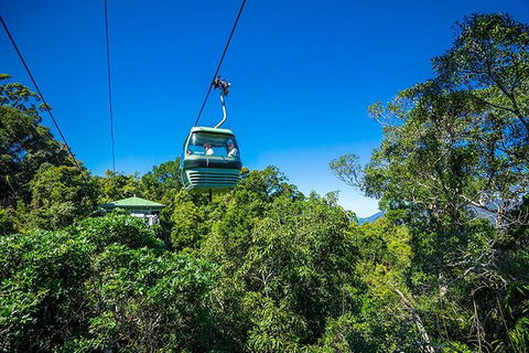 Skyrail Rainforest Cableway Day Trip From Cairns - Accommodation Port Hedland 1