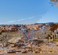 The Amazing Kings Canyon 4-Hours Walking Tour and Hike - Accommodation Port Hedland