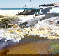 Full-Day Moreton Island 4x4 Sightseeing Tour - Accommodation Port Hedland