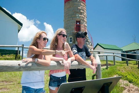 Full-Day Moreton Island 4x4 Sightseeing Tour - Accommodation Port Hedland 3