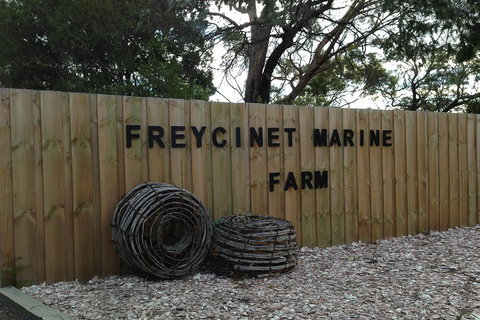 Active Day Tour One-Way From Launceston To Hobart Via Wineglass Bay - Accommodation Port Hedland 3