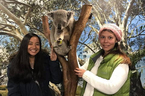 The Ultimate Sydney Attractions Pass - Accommodation Port Hedland 1