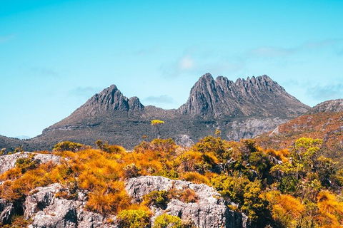 Cradle Mountain National Park Day Tour From Launceston - Accommodation Port Hedland 1