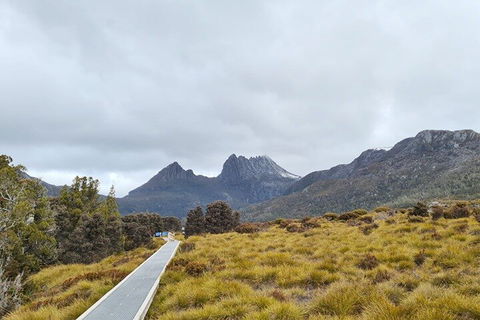 Cradle Mountain National Park Day Tour From Launceston - Accommodation Port Hedland 2