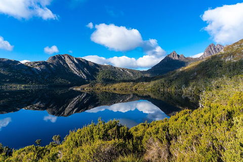 Cradle Mountain National Park Day Tour From Launceston - Accommodation Port Hedland 3
