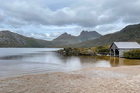 Cradle Mountain National Park Day Tour From Launceston - Accommodation Port Hedland 4