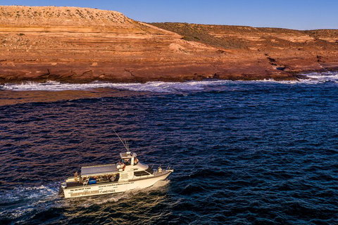 Kalbarri Sunset Coastal Cliff Cruise - Accommodation Port Hedland 4