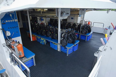 Silverswift Outer Great Barrier Reef Dive And Snorkel Cruise From Cairns - Accommodation Port Hedland 0