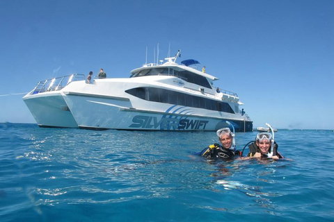 Silverswift Outer Great Barrier Reef Dive And Snorkel Cruise From Cairns - Accommodation Port Hedland 4