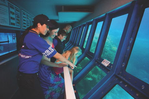 Great Barrier Reef Adventure From Cairns - Accommodation Port Hedland 0