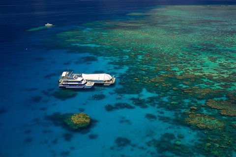 Great Barrier Reef Adventure From Cairns - Accommodation Port Hedland 4