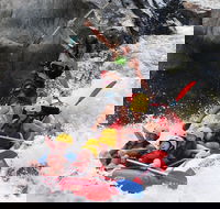 Barron Gorge National Park Half-Day White Water Rafting from Cairns or Port Douglas - Accommodation Port Hedland