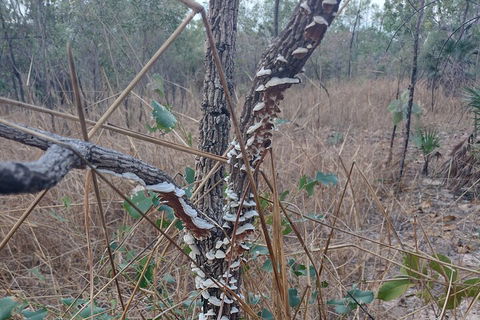 One Day Litchfield Park Adventures - Accommodation Port Hedland 3