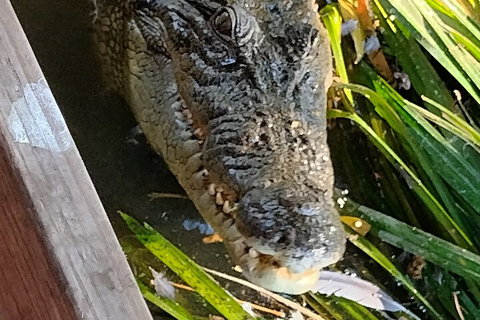 Litchfield Park Adventures And Jumping Crocodile Cruise + Butterfly Farm - Accommodation Port Hedland 1