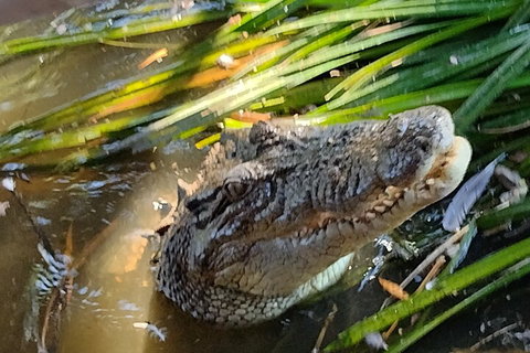 Litchfield Park Adventures And Jumping Crocodile Cruise + Butterfly Farm - Accommodation Port Hedland 4