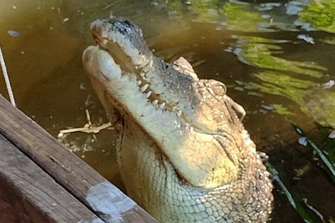 Litchfield Park Adventures And Jumping Crocodile Cruise + Butterfly Farm - Accommodation Port Hedland 5