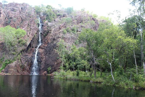 Jumping Crocodile Cruise And Berry Springs Nature Park - Accommodation Port Hedland 5