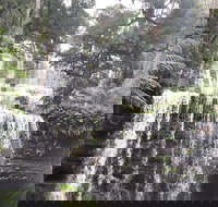 6-Day Hearty Tasmania Tour Tasmania in a Circle - Accommodation Port Hedland