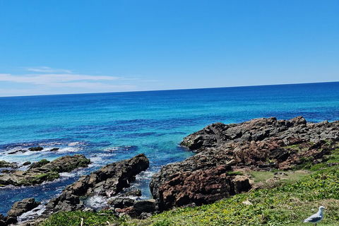 Private Custom Byron Bay Day Out - Accommodation Port Hedland 4