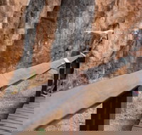 Chillagoe Caves and Outback Day Trip from Cairns - Accommodation Port Hedland