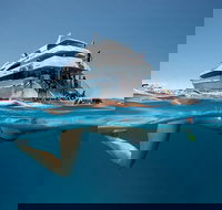 3 Day Great Barrier Reef Daintree Rainforest and Outback Chillagoe Tour - Accommodation Port Hedland