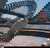 Sydney Private Tours by Locals 100 Personalized See the City Unscripted - Accommodation Port Hedland