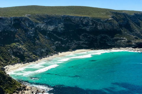 Kangaroo Island Scenic Trail Tour - Accommodation Port Hedland 4