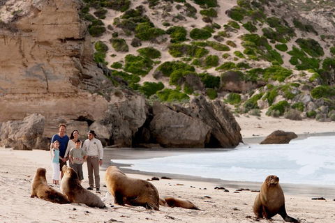 Kangaroo Island Scenic Trail Tour - Accommodation Port Hedland 5
