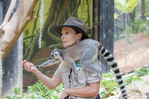 Currumbin Wildlife Sanctuary General Entry Ticket - Accommodation Port Hedland 1