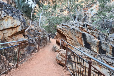 West MacDonnell Ranges Half - Day Tour - Accommodation Port Hedland 0