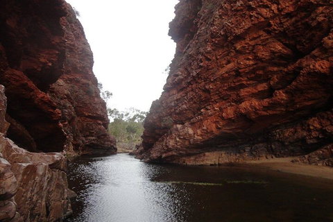 West MacDonnell Ranges Half - Day Tour - Accommodation Port Hedland 4