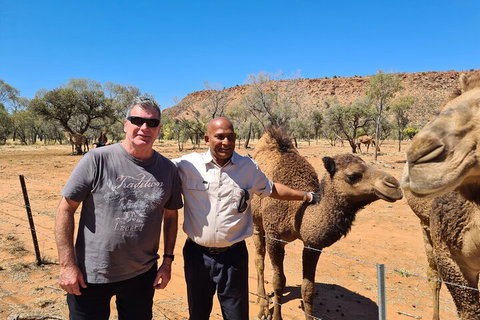 West MacDonnell Ranges Half-Day Small-Group Tour With Camel Ride - Accommodation Port Hedland 1