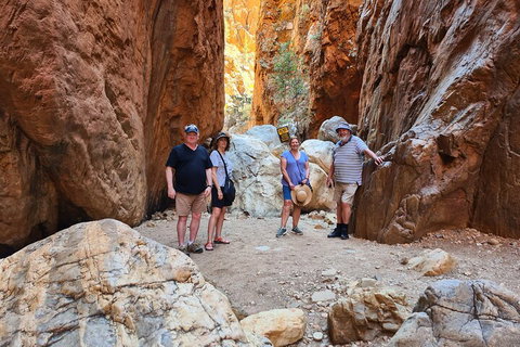 West MacDonnell Ranges Half-Day Small-Group Tour With Camel Ride - Accommodation Port Hedland 4